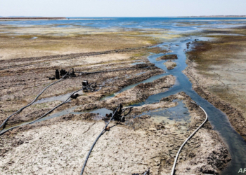 This picture taken on July 27, 2021 shows an aerial view of water pumps drawing water from the Lake Assad reservoir (unseen), in the village of al-Tuwayhinah near the Tabqa Dam along the Euphrates river in Raqqa province in eastern Syria. - Aid groups and engineers are warning of a looming humanitarian disaster in northeast Syria, where plummeting water levels at hydroelectric dams since January are threatening water and power cutoffs for millions amidst the coronavirus pandemic and economic crisis. Many in the Kurdish-held area are accusing neighbour and archfoe Turkey of weaponising water by tightening the tap upstream. (Photo by Delil SOULEIMAN / AFP)